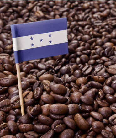 café de Honduras