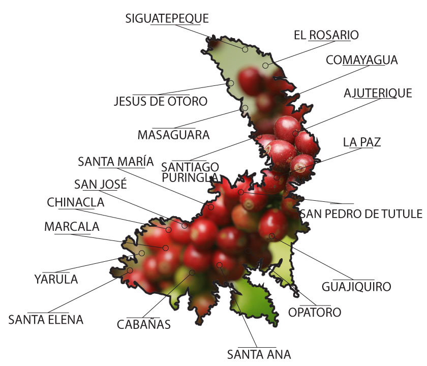 Mapa Denominación de origen